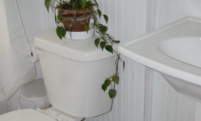 /static/images/house/25395/349790d22df7c76c12353ba02ba1e90d.jpg
