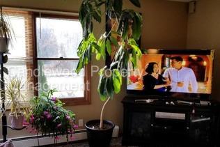 /static/images/house/32228/4ddaf2dcd9b9ff53a1f4fda918da875d.jpg