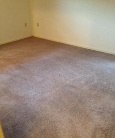 /static/images/house/3503/41bf91a5067518fc3d14484f5a277702.jpg